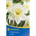 Narcis Ice Follies