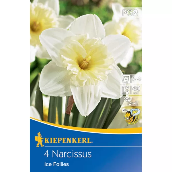 Narcis Ice Follies