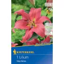 Ljiljan Visa Versa