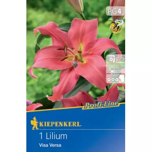 Ljiljan Visa Versa