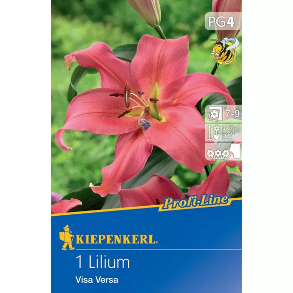 Ljiljan Visa Versa