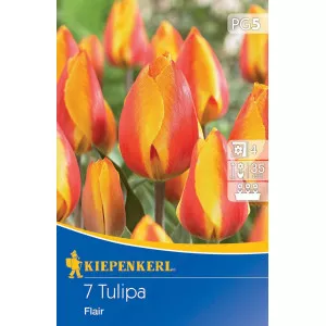 Tulipan Flair