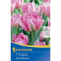 Tulipan Peach Blossom