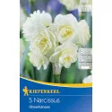 Narcis Cheerfulness