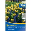 Narcis i Muscari mix multicolor