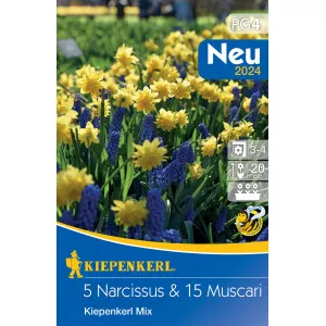 Narcis i Muscari mix multicolor
