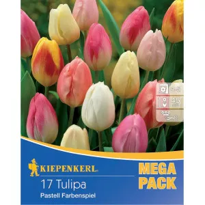 Mega Pack Pastell mix multicolor