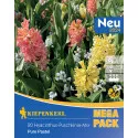 Mega Pack Zumbul Pure Pastel mix multicolor