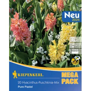 Mega Pack Zumbul Pure Pastel mix multicolor