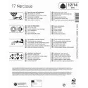 Mega Pack Narcis Osterglocken