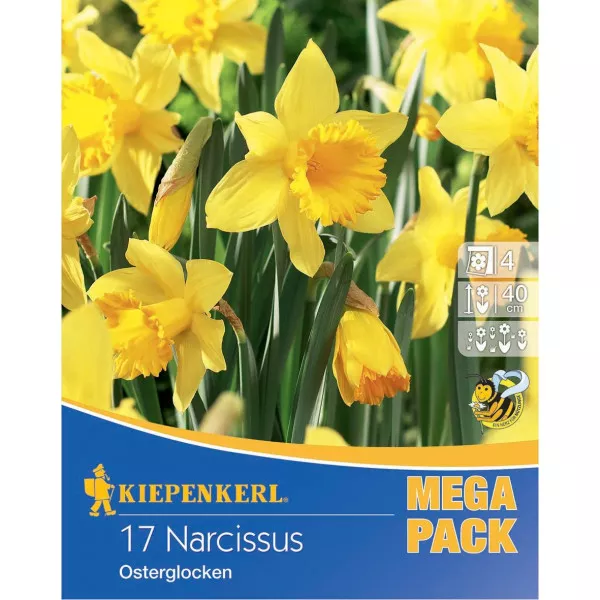 Mega Pack Narcis Osterglocken