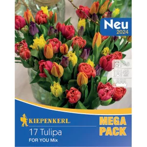 Mega Pack For You – mix multicolor