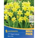 Mega Pack Narcis Tete a Tete