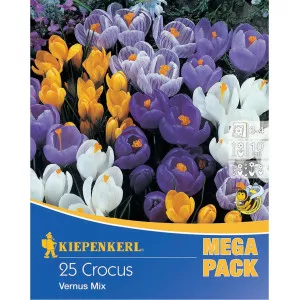 Mega Pack Šafran mix multicolor
