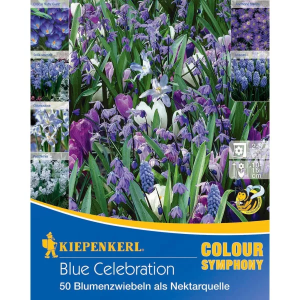 Cvjetne lukovice Blue Celebration