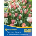 Cvjetne lukovice Summer Dreams
