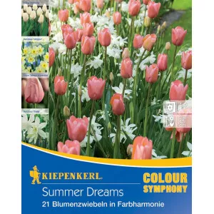 Cvjetne lukovice Summer Dreams