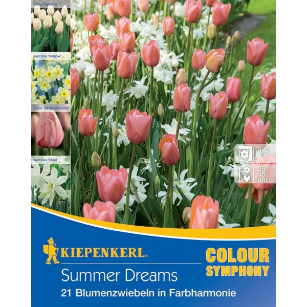 Cvjetne lukovice Summer Dreams