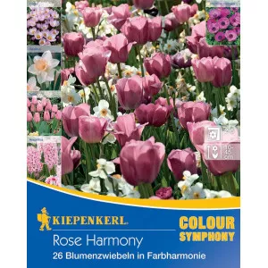 Cvjetne lukovice Rose Harmony