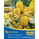 Cvjetne lukovice Yellow Harmony