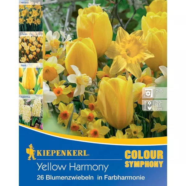 Cvjetne lukovice Yellow Harmony