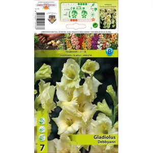 Gladiola Debbyann