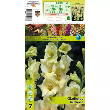 Gladiola Debbyann