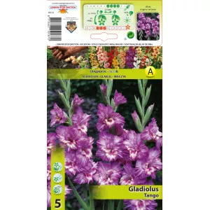 Gladiola Tango