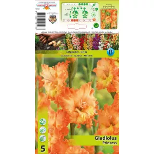 Resasta gladiola Princess