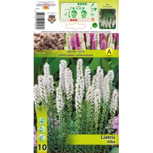 Liatris spicata bijela