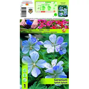 Pelargonija Splish Splash