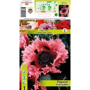 Vrtni mak (Papaver) Pink Ruffles
