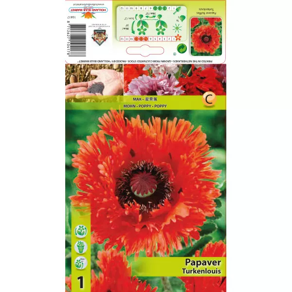 Vrtni mak (Papaver) Ruffles Turkenlouis