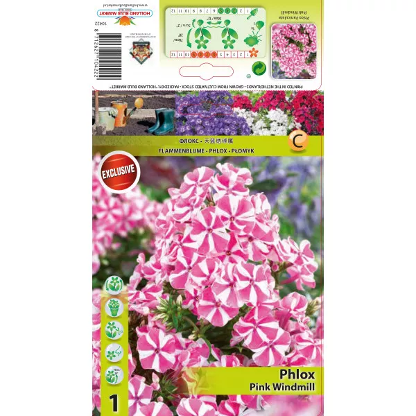 Floks Pink Windmill