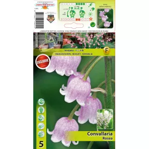 Đurđica (Convallaria majalis) ružičasta