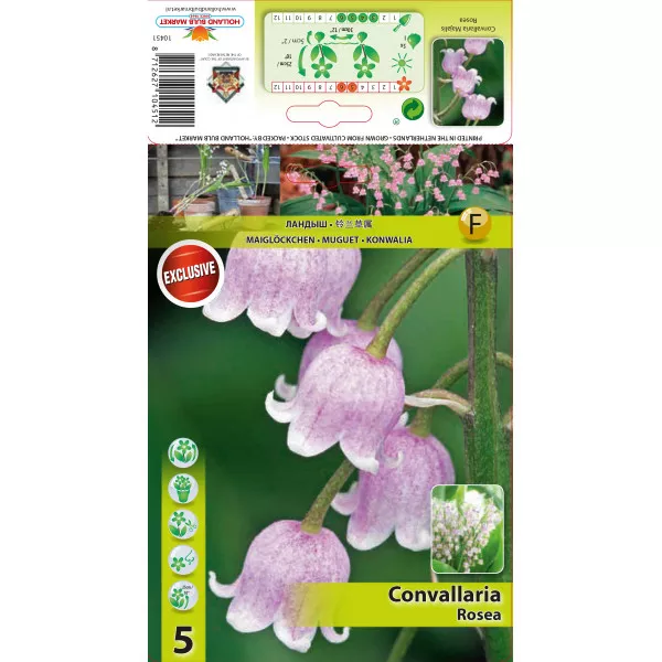 Đurđica (Convallaria majalis) ružičasta