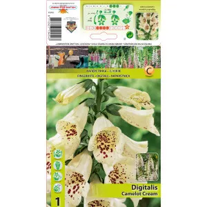 Digitalis Camelot Cream