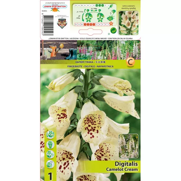 Digitalis Camelot Cream