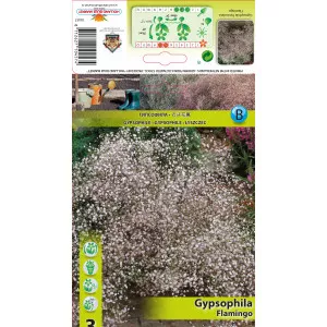 Šlajer (Gypsophila) Flamingo