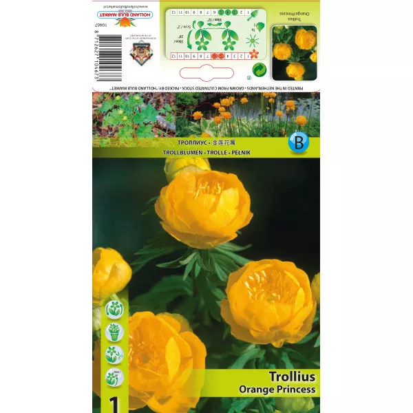 Trolije (Trollius) Orange Princess