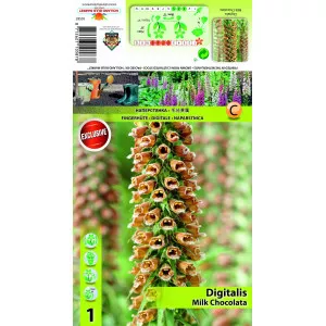Digitalis Milk Chocolate
