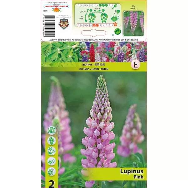 Lupin ružičasti