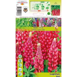 Lupin crveni