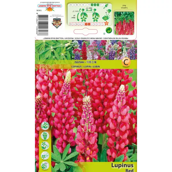 Lupin crveni