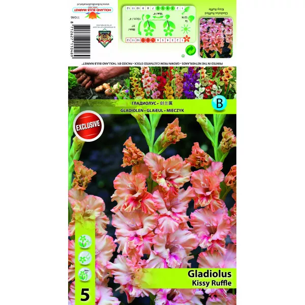 Resasta gladiola Kissy Ruffle