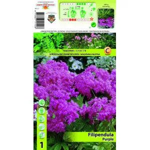 Filipendula ljubičasta