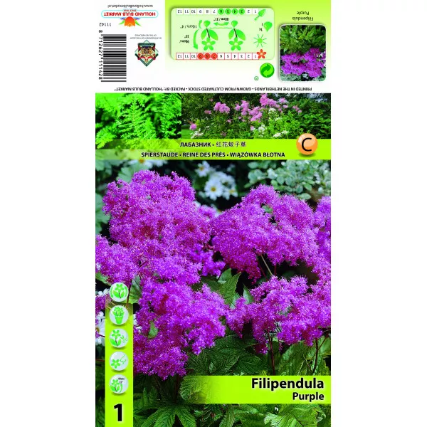 Filipendula ljubičasta