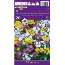 Allium mješavina