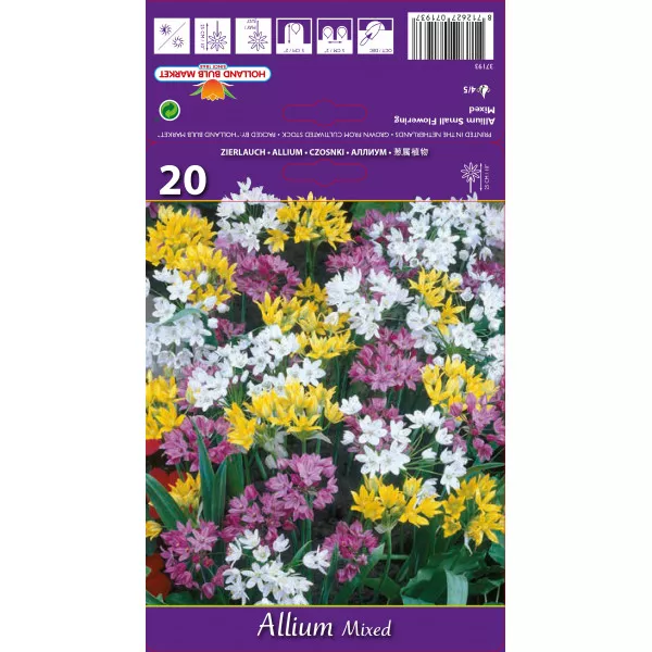 Allium mješavina
