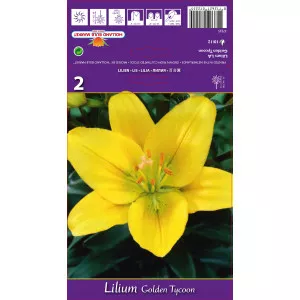 LA ljiljan Golden Tycoon
